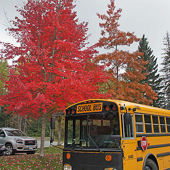 Sea to Sky School District