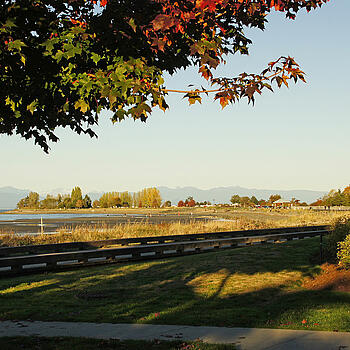 Vancouver Island – Insel in Kanada