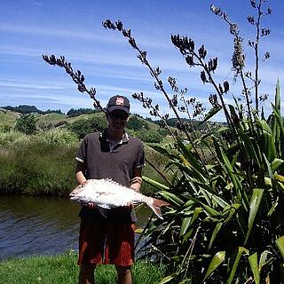 Max - Auckland, Macleans College