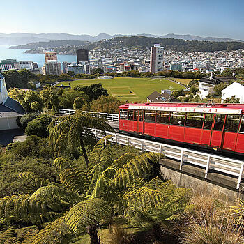 Wellington