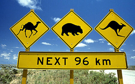 Australia Day – Infoveranstaltung online – April 06.04.2025 High School & Schüleraustausch