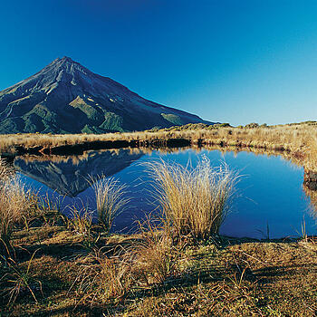 New Plymouth