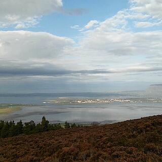 Alexander - Sligo, St. Mary's College