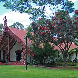 Isabel - Auckland, Macleans College