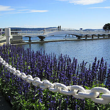 Nanaimo-Ladysmith School District