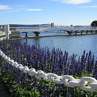 Luisa - Vancouver Island, Nanaimo